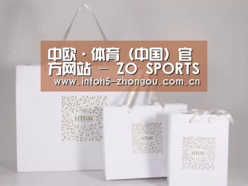 项目名称十一