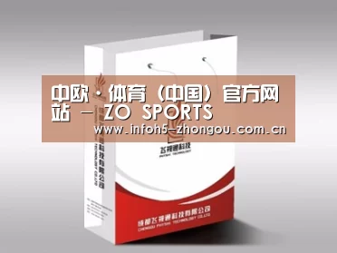项目名称十三