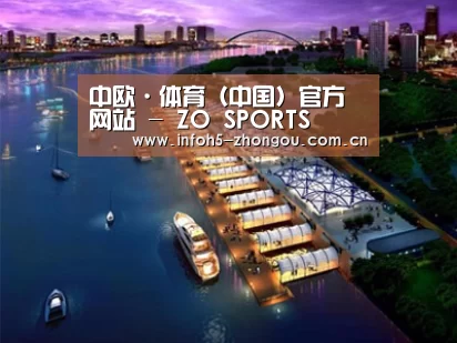 案例展示八