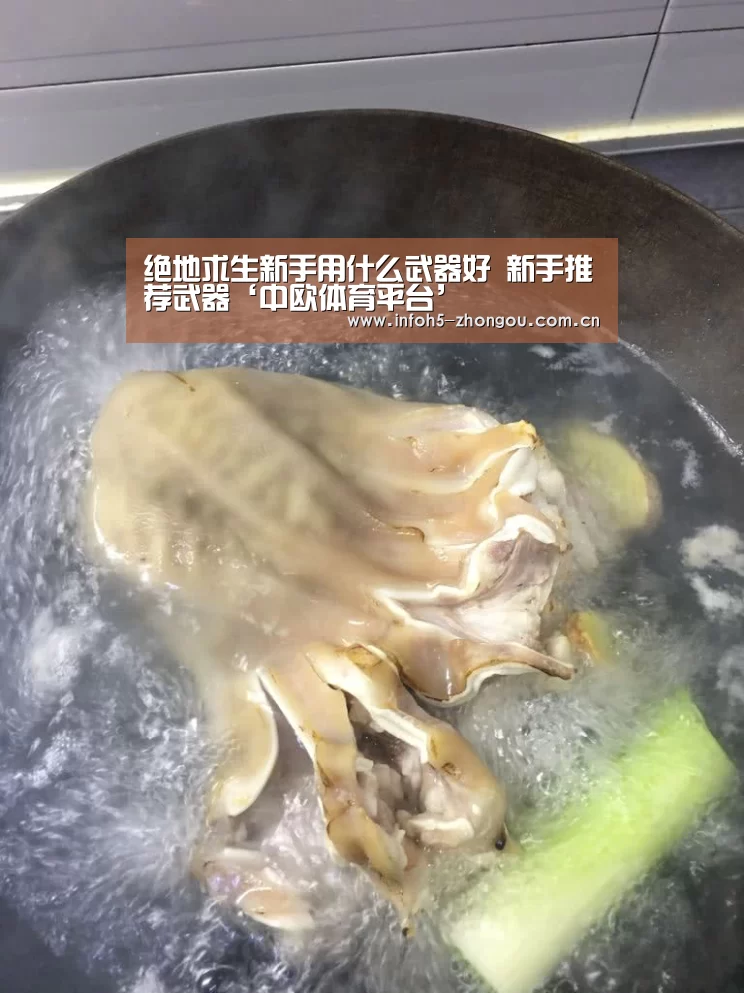 zoty体育