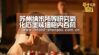 苏州纳米所等研究氧化石墨烯细胞内吞机制取得新进展|中欧体育官网(图3) 中欧体育平台