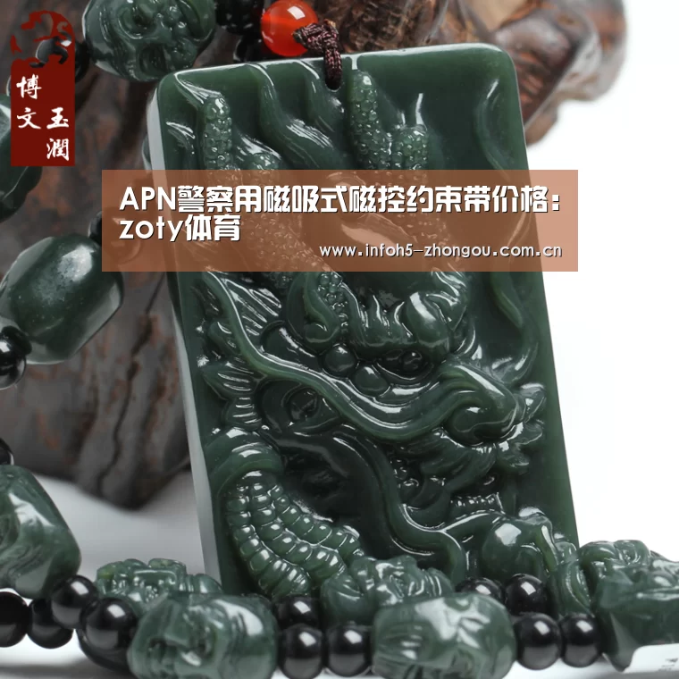 APN警察用磁吸式磁控约束带价格:zoty体育(图2) 中欧体育官网