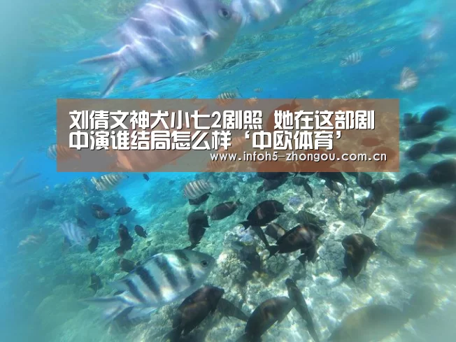 中欧体育官网